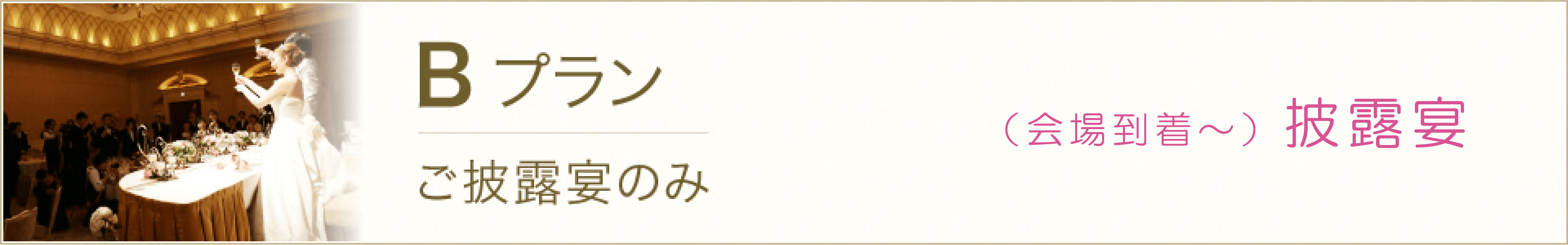 プラン ご利用料金 結婚式介護 車椅子介助のケアエスコート プラン ご利用料金 結婚式介護 車椅子介助のケアエスコート