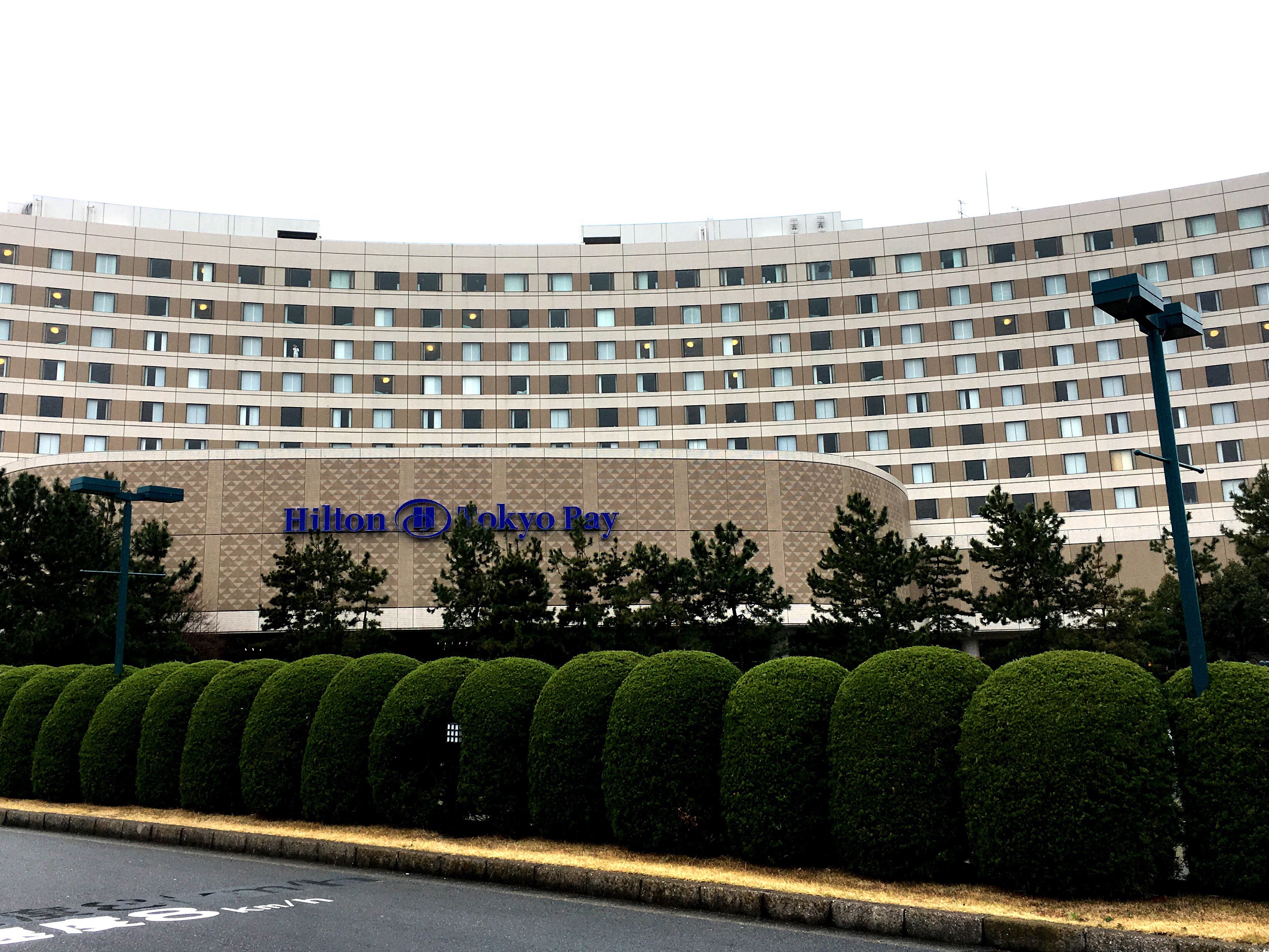 ヒルトン東京ベイ 千葉 舞浜 結婚式介護 車椅子介助のケアエスコート